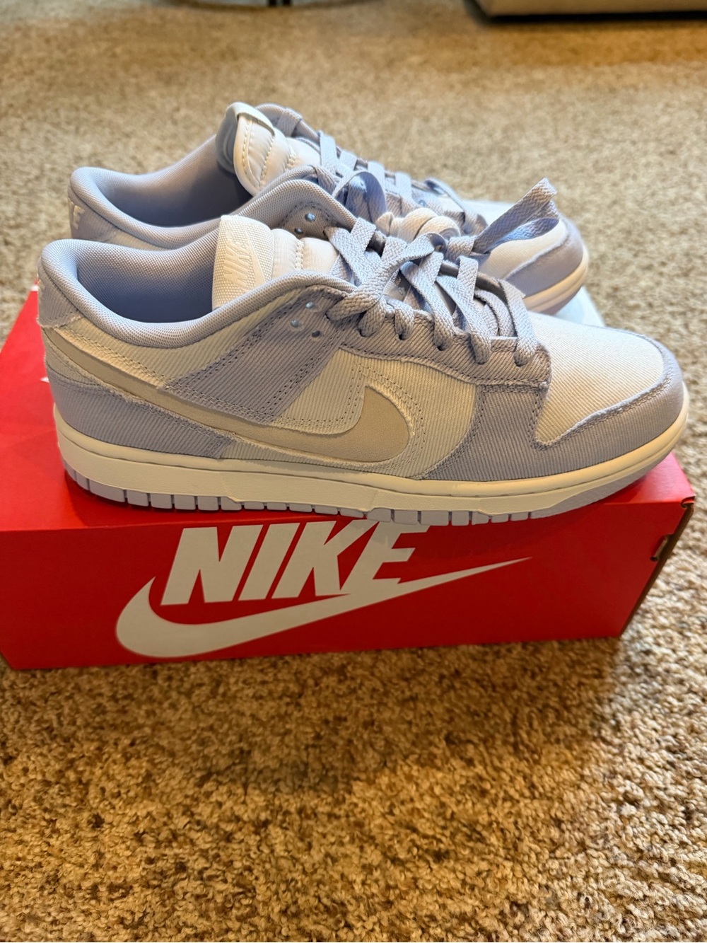 Nike Low-Dunk Sneakers in Light blue and White